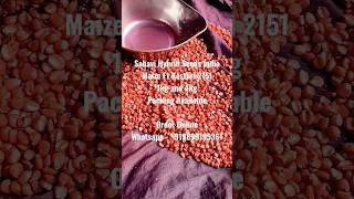 Maize Seed Packing | Maize F1 Hybrid Kasturi 2151| #vegetableseedexporter #hybridvegetableseeds