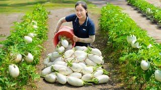 WOMEN Harvesting FAIRY EGGS Goes to market sell - Green Forest Life | Ella Daily Life