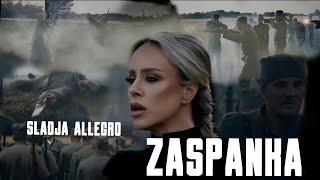 Sladja Allegro ZASPANKA (OFFICIAL VIDEO 2024)