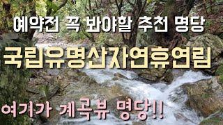 국립 유명산자연휴양림/예약전 꼭 봐야할 추천 명당 1박2일/데크 리뷰/오토캠핑장