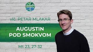 Augustin pod smokvom