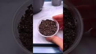 Hydrophobic Seed Starting Mix