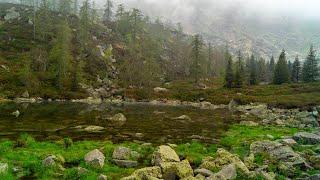 Lago delle Bose 15 05 2022 4K