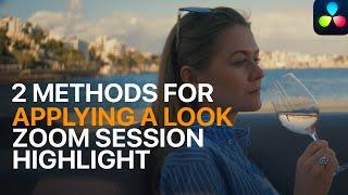 2 Methods for Applying a Look | Zoom Session Highlight