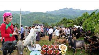 Primitive market selling MOUNTAIN GOAT - BAN PIG - COC LY Market Bac Ha Lao Cai