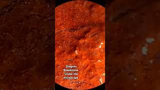 Dragons Bloodstone under the microscope