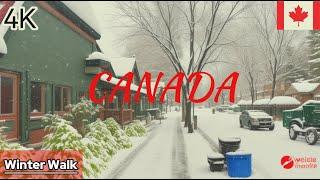 4K HDR Winter Walk in Canada | Scenic Walking Tour