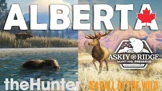 ALBERTA, CANADA Revealed!!!  NEW ELK, BISON & MORE!!! - Call of the Wild