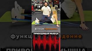 Как подтянуть внутреннюю часть бедра #спорт #бедра #мышцы #тренировка