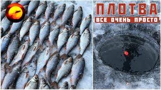 Roach fishing in winter / Roach Biting on the float / Winter fishing 2019