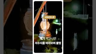 우리개 연구소는 캠핑중 #Shorts #우리개연구소 #캠핑