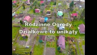 Rodzinne Ogrody Działkowe to miejca unikatowe #dionp