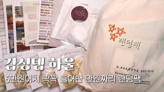 돌고도는 다꾸템 취향~ 이번엔 감성템이다 | 내돈내산 p.palette, 온유어마인드 하울 | Stationery haul | ASMR