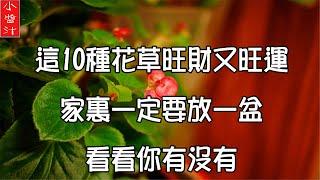 【花草風水】10種花草旺財又旺運，家裡至少要放一盆。看看你有沒有？