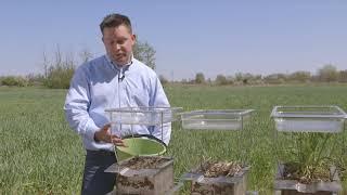 Soil Management Practices | Rainfall Simulator | Bayer