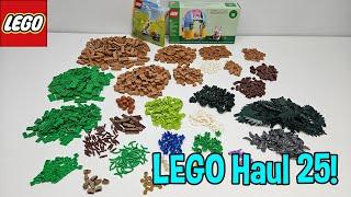 LEGO Haul 25! | in 4K! | LEGO Bricks and Pieces! #lego #legohaul #legoaddict