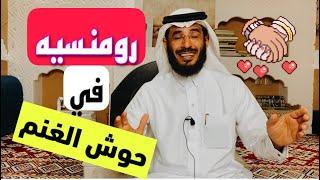 | 187 | شوف العاشق الرومانسي مواعد زوجته في حوش الغنم | قصص رعب رهيبه