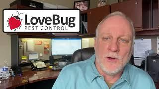 Mosquito Service at LoveBug Pest Control: Part 1