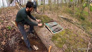 Man Builds SECRET SHELTER Inside Fallen Tree | Solo Survival by @BushcraftHakankarahan