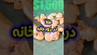 پیدا کردن طلا کنار رودخانه  #gold