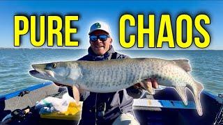 UNBELIEVABLE MORNING of Fall Musky Fishing Lake St. Clair!!!