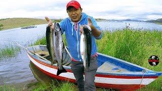 Pesca de Truchas en Lagunas -  Truchas en jaula Flotante