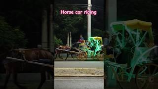 The History of Driving and the Role Played by Driving Horses! 