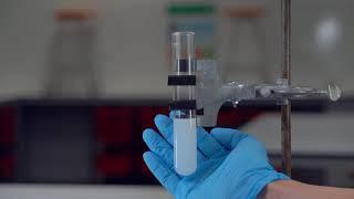 Reaction Rate - Hydrochloric acid + Sodium Thiosulfate (Concentration)