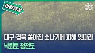 [현장영상] "5월에 웬 우박?" 대구·경북 쏟아진 소나기에 피해 잇따라···낙뢰로 정전도 | 대구MBC