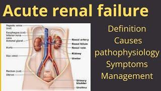 ACUTE RENAL FAILURE - SEMINAR  #NURSING OFFICERS,  #NURSING STUDENT'S