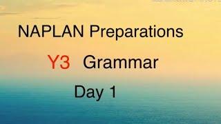 NAPLAN Preparations Year 3 Grammar Day 1 - Key points for making plurals from nouns