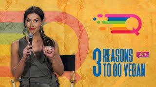 3 Reasons You Should Go Vegan | LATV Queer