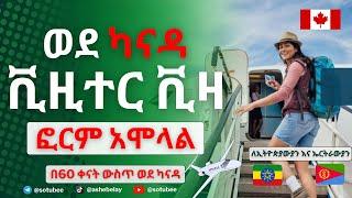 የካናዳ ቪዚተር ቪዛ ትክክለኛው ፎርም አሞላል| በ60 ቀናት ውስጥ ወደ ካናዳ| How to apply for Canada Visitor Visa 2023 | Canada