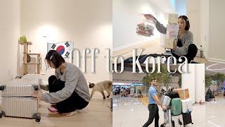 Going to Korea with my spicy husband️  | Pack with me! | Why you shouldn't get veneers..