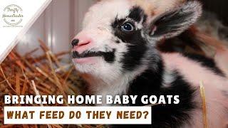 Buying kids, coccidiosis, and medicated feed