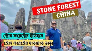 Stone Forest 4K@60 fps | Kunming,China | The aesthetic instance of nature