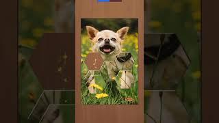 Dog making fast #viral #shorts #ytshorts #trending #beats