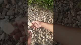 Science Experiment | Making Fire through Stones #shorts #experiment