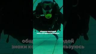 Знаки которыми я пользуюсь на дайвах #aksenovscubadiving #дайвинг #scubadiving