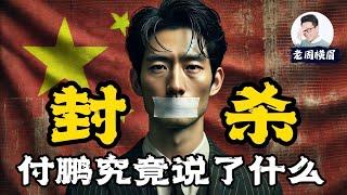 中国经济真正的内忧和外患是什么？全球化已死？中产阶级是如何陨落的？ | 付鹏 | 高善文 | 演讲 | 对冲基金 | 消费降级 | 内需不足 | 贸易战 | 人民币贬值 | 中美关系 | 老周横眉