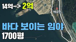 바다 보이는 임야 1700평 (14억 에서 2억까지 유찰)