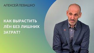 Как вырастить лён без лишних затрат? | Алексей Левашко, ГК «Астон»