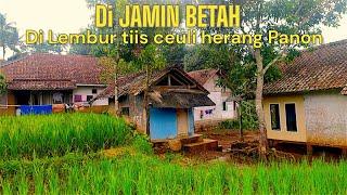 Menikmati Hidup di Kampung yang indah Udara Sejuk Pemandangan Alam indah di Pedesaan Jawa Barat