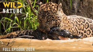 WILD AMAZON | Mysteries of the Ultimate Predators | Animal documentary