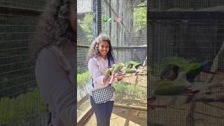 Mumbai's Bird Park |Kids attraction place in mumbai |Bird feeding experience in borivali #birdsounds