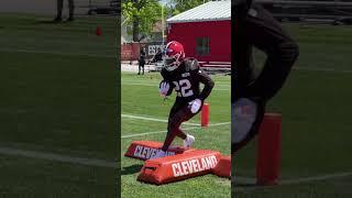 the RBs are putting in work 