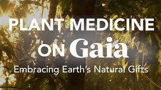 Plant Medicine Highlights - Embracing Earth's Natural Gifts