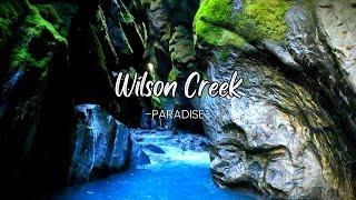 Wilson Creek Canyon  Hidden Gem of New Zealand's Haast Pass