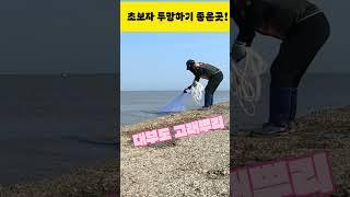 여기는 투망 초보자 투망하기 좋은곳! [화성이반장]#shorts