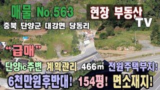 대강부동산 계획관리 6천만원후반대 전원주택부지 466㎡ 140평 도로 부지 13.5평 총 154평 충북 단양군 대강면 당동리 토지 매매 단양ic주변 계곡 주변 면소재지 단양부동산